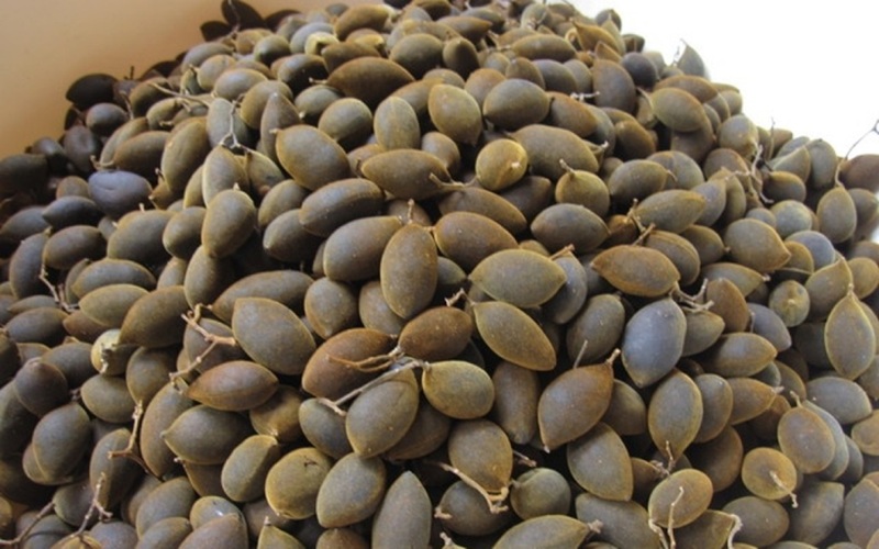 Đặc sản Ninh Thuận làm quà. Mua quà ở Ninh Thuận
