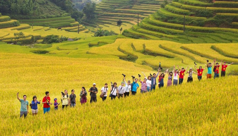 Du lịch hà Giang mùa lúa chín. Đi du lịch Hà Giang mùa lúa chín