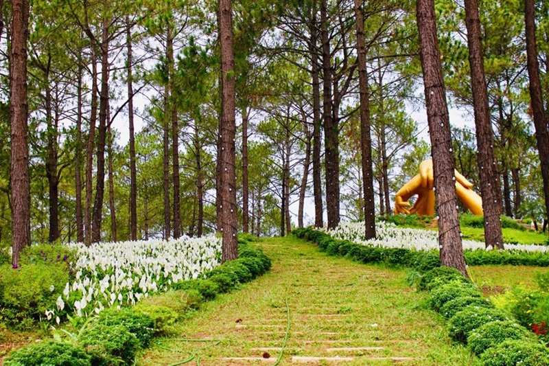 Du lịch Mộc Châu tháng 3. Có nên Du lịch Mộc Châu tháng 3