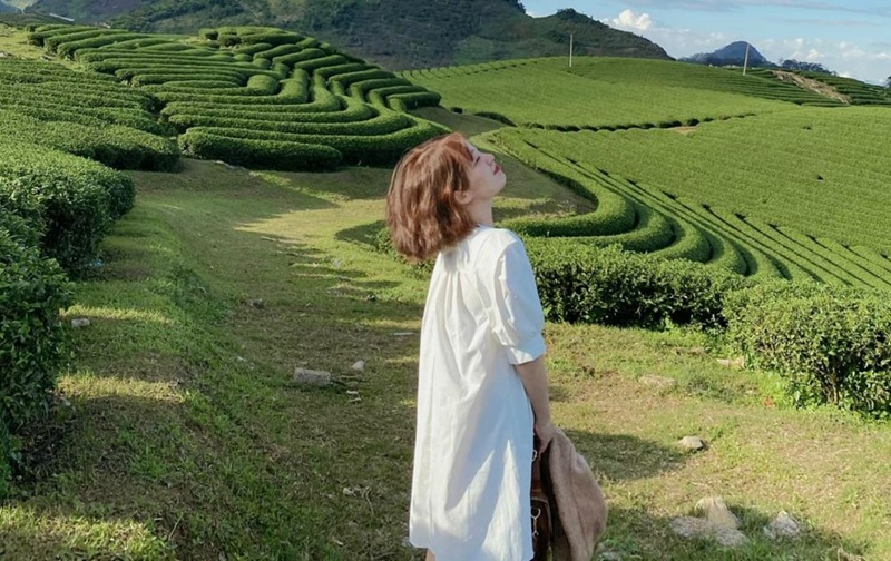 Du lịch Mộc Châu tháng 3. Du lịch Mộc Châu tháng 3 tự túc