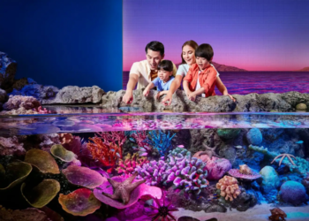 Sea Life Bangkok Ocean World – Đại dương giữa thành phố
