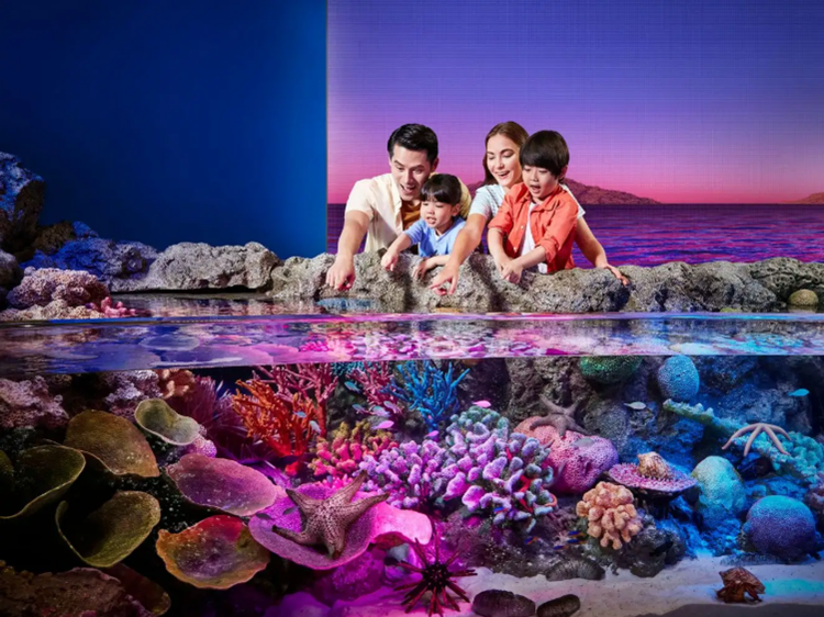 Sea Life Bangkok Ocean World – Đại dương giữa thành phố