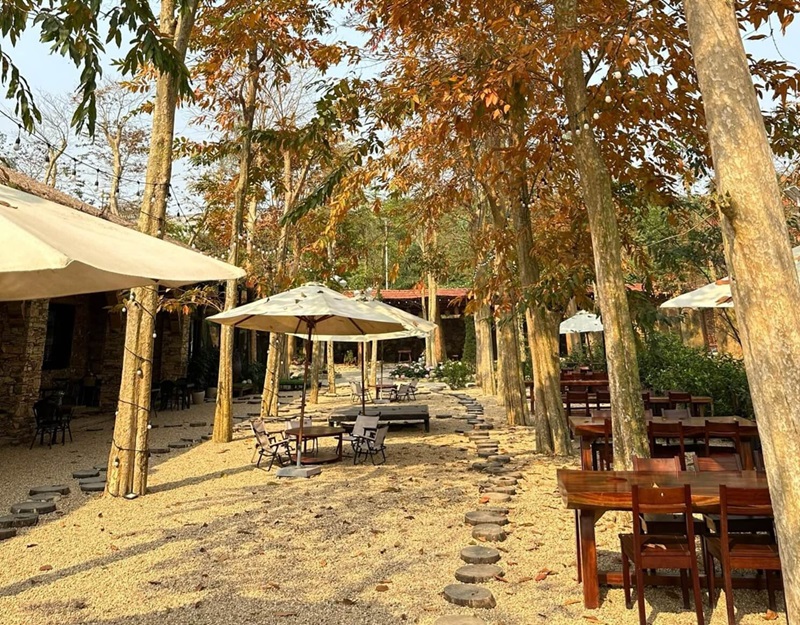 Địa điểm cắm trại nổi tiếng Đà Nẵng. Địa điểm cắm trại ở Đà Nẵng