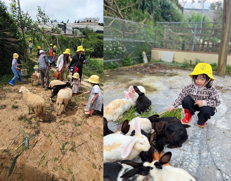 Địa điểm vui chơi cho trẻ em ở Đà Lạt. Địa điểm vui chơi ở Đà Lạt dành cho trẻ em