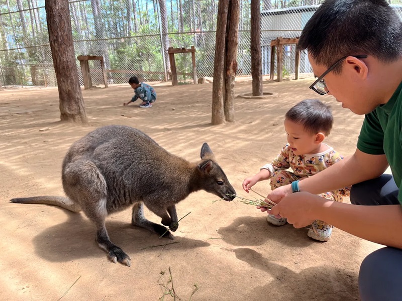 Địa điểm vui chơi cho trẻ em ở Đà Lạt. Địa điểm vui chơi ở Đà Lạt dành cho trẻ em