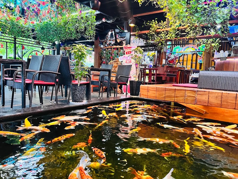 Địa chỉ quán cafe đẹp ở Phú Yên. Quán cafe ở Phú Yên